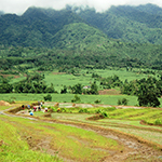 BeeWell Farm, Mailum, Negros Island
